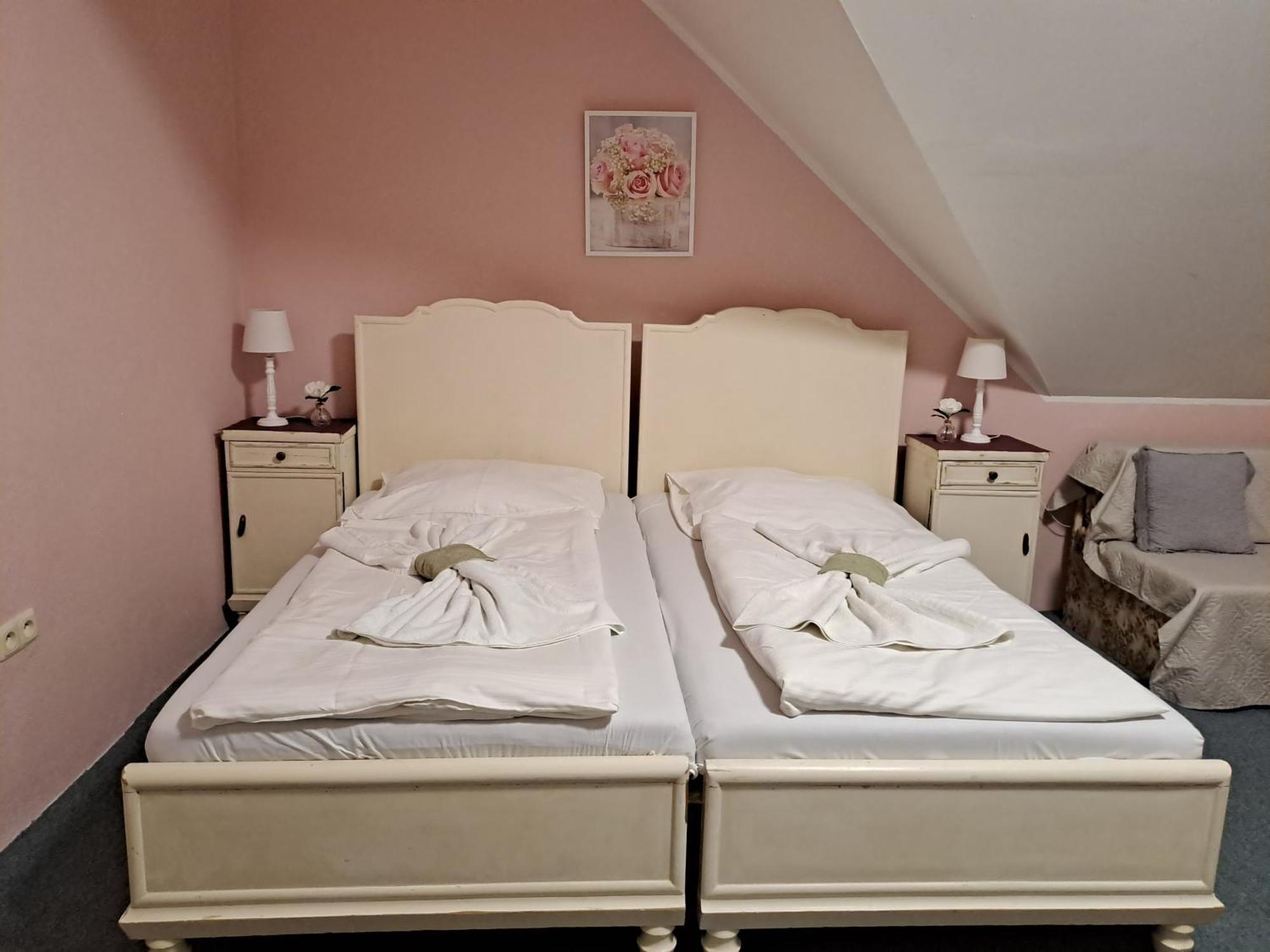 Hotel Kamenny Vrch Chomutov Rum bild